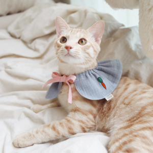 네모네 - 당근당근 케이프 / 강아지 고양이 턱받이 넥워머 넥카라 스카프 애견패션 애견용품