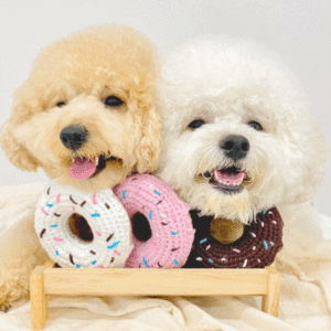 네모네 - 댕킨 도넛 삑삑 바스락 장난감 / 강아지선물 소형견장난감 반려용품